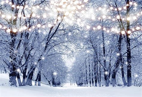2020 Winter Snow Photography Backdrops Christmas