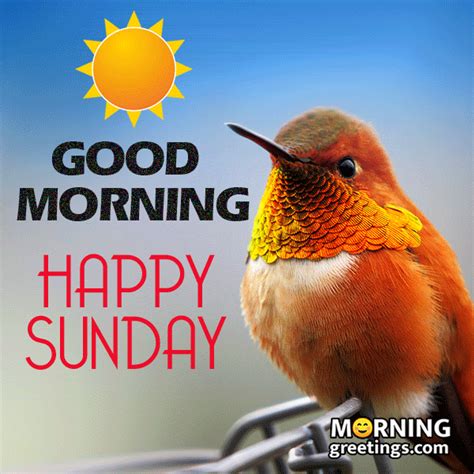 Good Morning Happy Sunday Images 