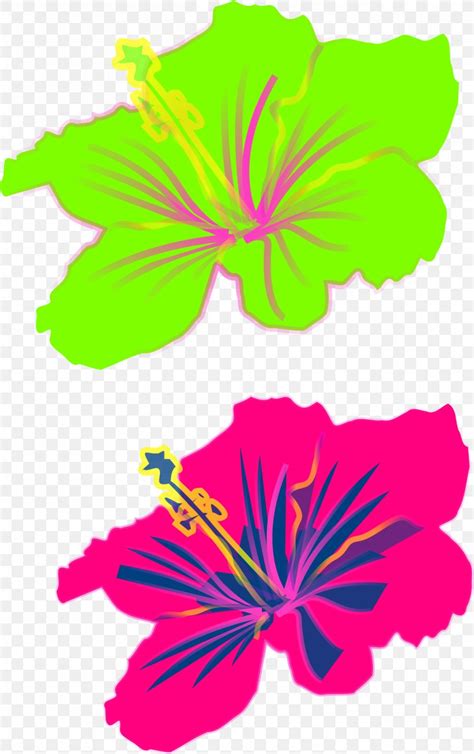 Shoeblackplant Hawaiian Hibiscus Clip Art Png X Px Shoeblackplant Artwork Drawing