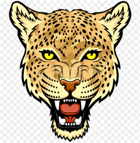 Jaguar Face Transparent Picture Leopard Face Clip Art Png Transparent