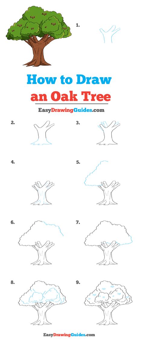 Https://wstravely.com/draw/how To Draw A Basic Oak Tree