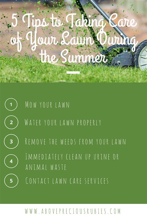 5 Tips To Taking Care Of Your Lawn During The Summer Above Rubies