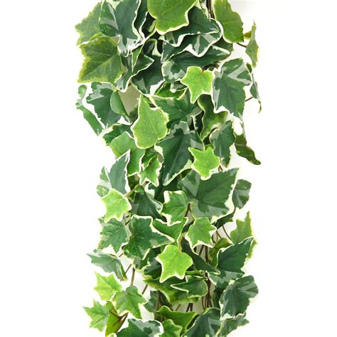 artificial trailing ivy variegated 200cm realartificial