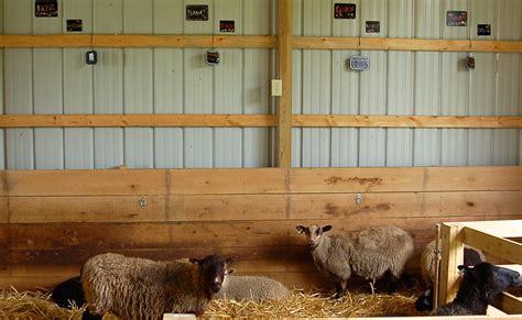 Farm To Yarn The Wool Limestone Post Magazine In Bloomington Indiana
