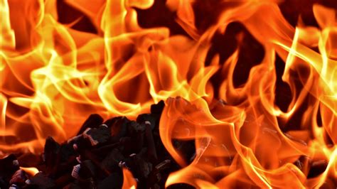 Ateş Nedir Nasıl Yanar Nasıl Yakar Ateşin Evrimsel Geçmişimizdeki