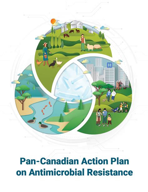 Pan Canadian Action Plan On Antimicrobial Resistance Canadaca