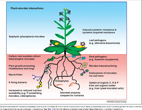 Figure 1 From Unraveling Plant Microbe Interactions Can Multi Species