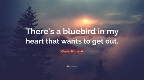 charles bukowski quote “there s a bluebird in my heart that wants to get out ”
