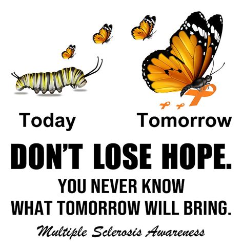 Dont Lose Hope You Never Know What Tomorrow Will Bring Multiple