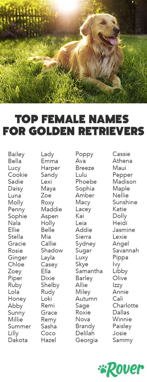 Weve Rounded Up The Top Female Names For Goldens And Golden Retriever