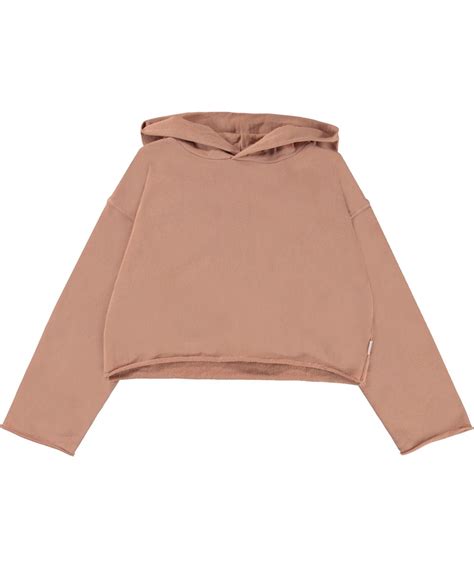 Maddy Rose Mist Cropped Hoodie In Rose Molo