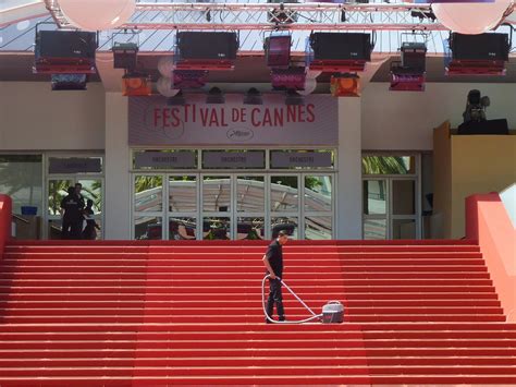 Annulé Le Festival De Cannes 2020 Aura Sa Sélection Officielle