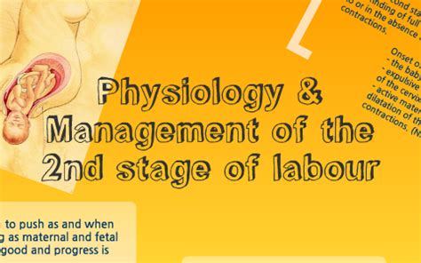 Start studying second stage of labour. physiology and management of the 2nd stage of labour` by ...