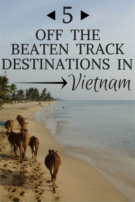 5 Off The Beaten Track Destinations In Vietnam Goats On The Road