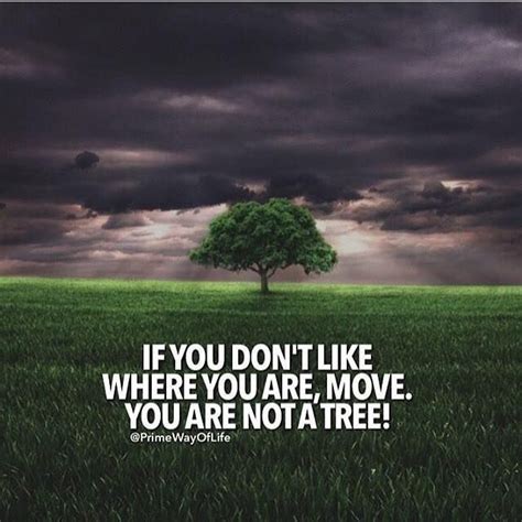 If You Dont Like Where You Are Move You Are Not A Tree Positive