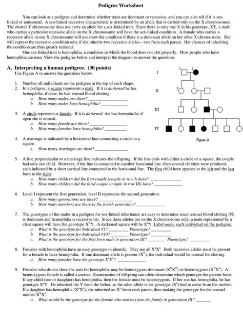 Solved Pedigree Worksheet You Can Look At A Pedigree And