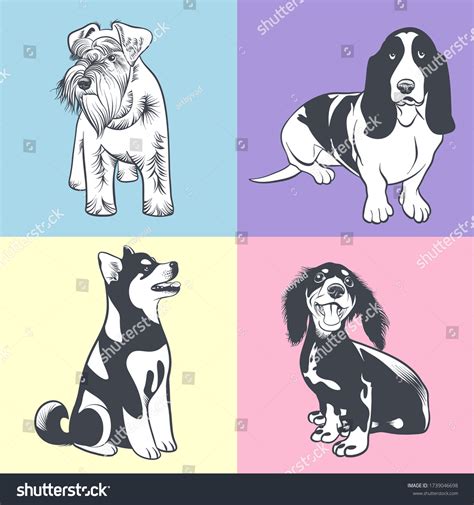 Set Dogs Different Breeds Vector Illustration Stock Vector Royalty