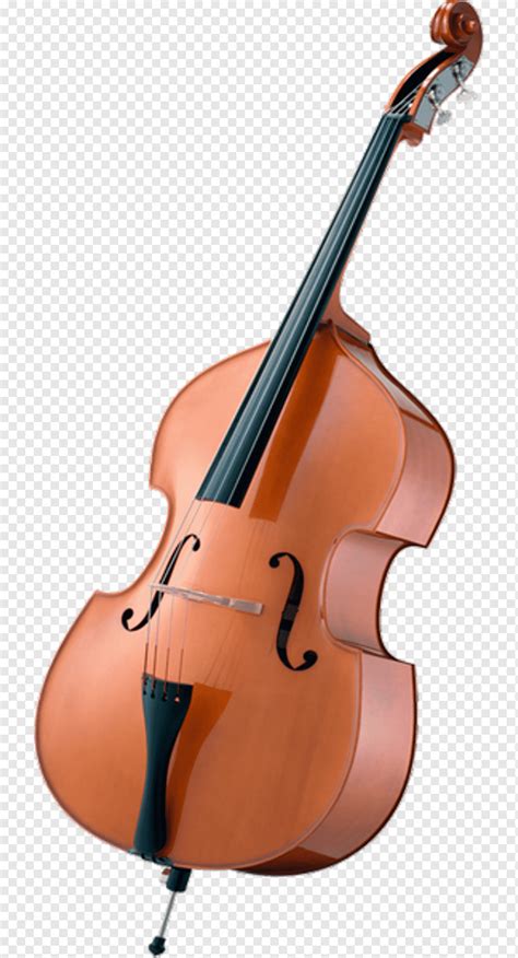 Violonchelo Instrumentos Musicales Violín Violín Piano Contrabajo