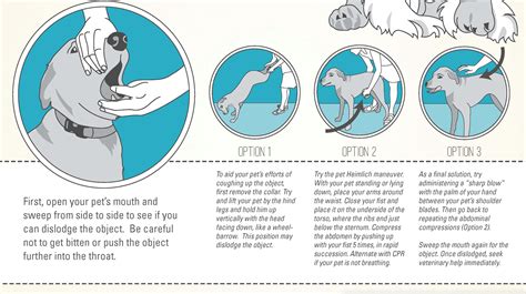 Heimlich Maneuver For Dogs Poster By Theluckyladybug