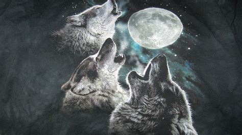 Three Wolf Moon Trending Images Gallery List View Know Your Meme