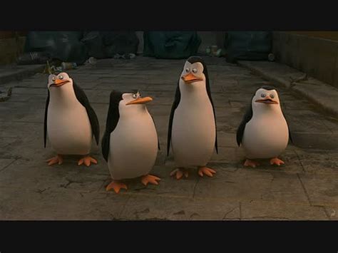 Os Pinguins De Madagáscar Sapo Vídeos