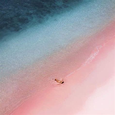 Great Pink Beach By Jordhammond Dronephotography Drones