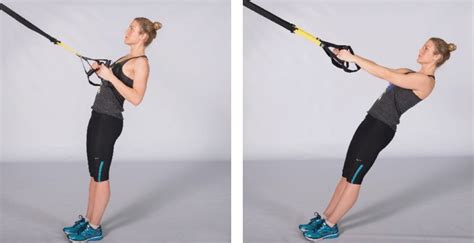 Top Trx Beginners Exercises