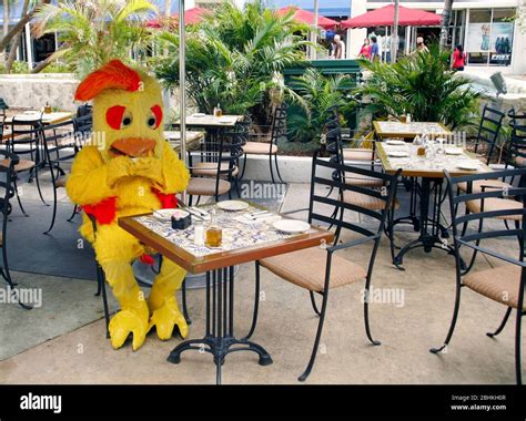 Person In Chicken Costume Eating A Sandwich On Lincoln Rd Miami Florida Usa Stock Photo Alamy