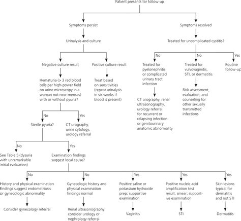 Dysuria Evaluation And Differential Diagnosis In Adults Aafp