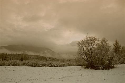 132 Sift Winter In Sepia White Mountains New Hampshire