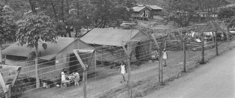 the untold story japanese americans wwii internment in hawaii nbc news
