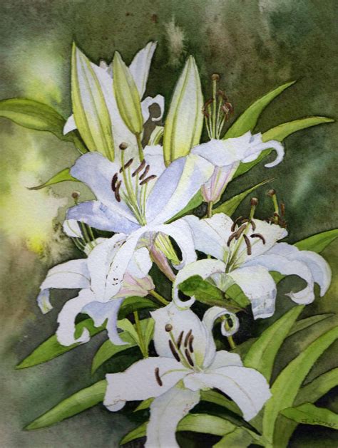 White Lilies Watercolour Painting By Julie Horner Sold Цветочные