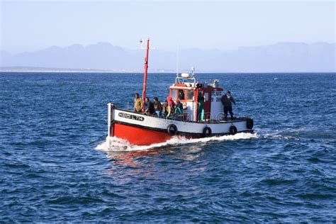 Fisherman On Fishing Boat In Kalk Bay Cape Town Editorial Stock Photo