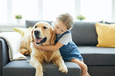 Having A Dog Makes Toddlers More Considerate To People Study Finds