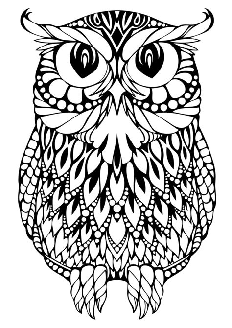 owl coloring pages  adults  detailed owl coloring pages
