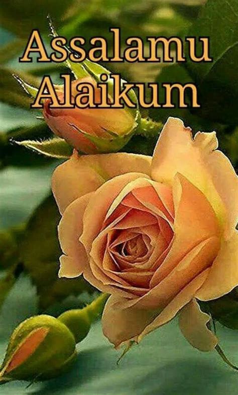 Pin By Surayifa On Assalaam Alaikum Morning Images Assalamualaikum