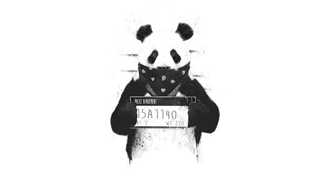 1920x1080 Bad Panda Laptop Full Hd 1080p Hd 4k Wallpapers