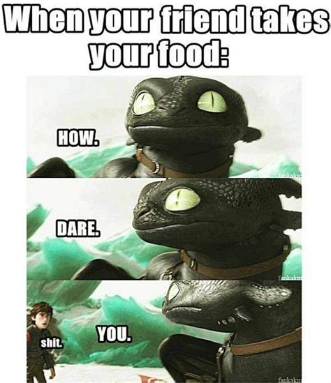 The Httyd Book Of Memes How Train Your Dragon Httyd F