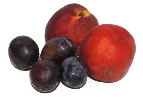 Free Stock Photos Rgbstock Free Stock Images Plums And Peaches