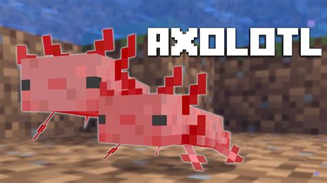 How To Get The Rare Axolotl In Minecraft