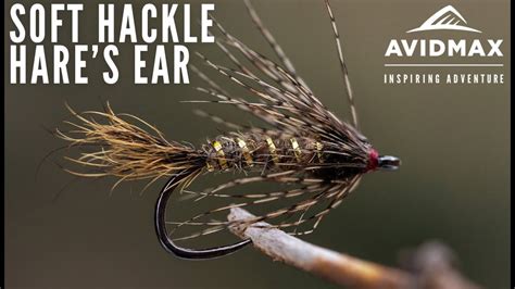 How To Tie The Soft Hackle Hares Ear Avidmax Fly Tying Tuesday