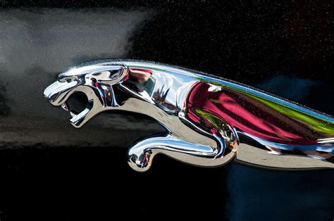 Jaguar Car Emblem Photograph By Don Johnson Pixels