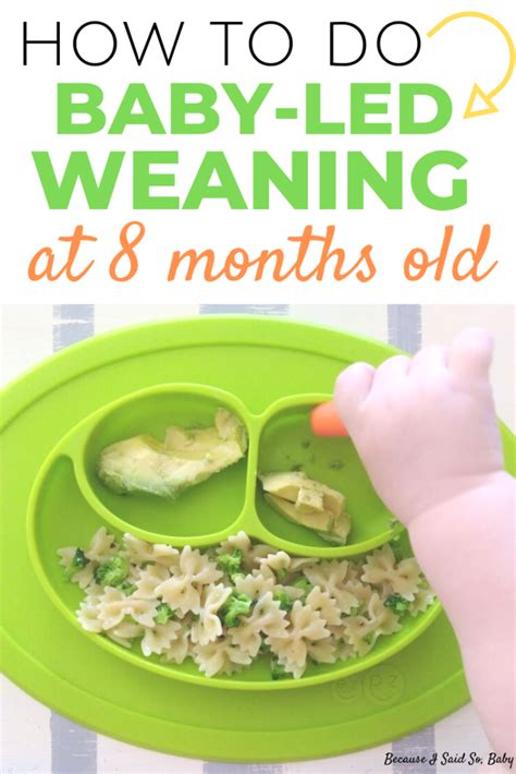 Check spelling or type a new query. 8 Month Old Baby-Led Weaning Meal Ideas & Feeding Schedule ...