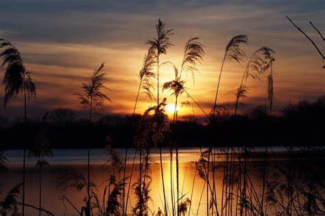 Abendstimmung Am See Foto And Bild Landschaft Bach Fluss And See See Teich And Tümpel Bilder Auf