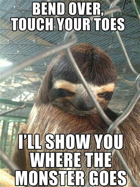 Creepy Sloth Creepy Sloth Funny Pictures With Captions Funny Animals
