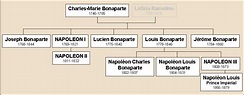 GénéInfos: Descendants de Napoléon, voici le test ADN