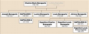 Napoleon Bonaparte - Aubree's History Project