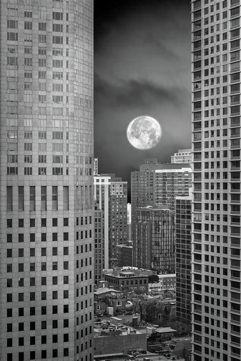 Chicago City View Rising Moon In Dec Bw Vertical 02 Photograph By
