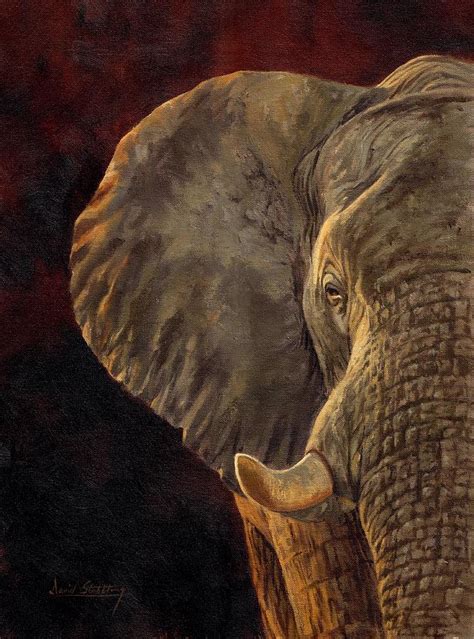 African Elephant Painting By David Stribbling Fine Art America