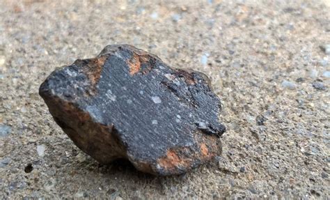 Lunar Meteorite Nwa 11228 17x11x7mm 14 Grm Catawiki